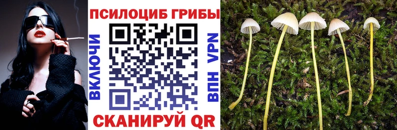 сайты даркнета наркотические препараты Балтийск Галлюциногенные грибы Psilocybine cubensis